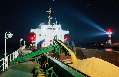 散貨船運輸專家：安全高效的性價比貨運優(yōu)選